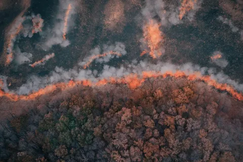 aerial view of wildfire